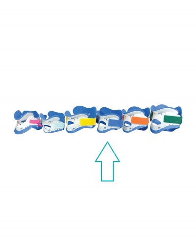 Collare Cervicale Regolabile Adulti  Standard